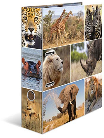 HERMA Folder A4 Lion Set, 10 Pieces, 7 cm Wide, Children's Ring Binder with Africa Animal Motif, Colourful Lever Arch File with Inner Print for Boys and Girls