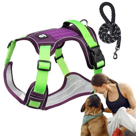 Hundegeschirr, Hundegeschirr-Set | Atmungsaktives, reflektierendes Hundegeschirr, verstellbares Hundegeschirr - Flexibles Hunde-Brustgeschirr, Hunde-Zuggeschirr für Outdoor-Aktivitäten