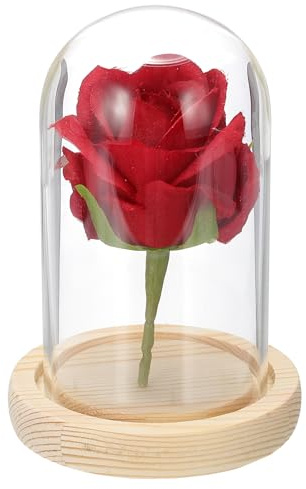 QUARKZMAN Campana di Vetro Display, 12 x 7 cm Campana di Vetro con Base in Legno per Decorazione Casa Ufficio Matrimonio Feste, Naturale