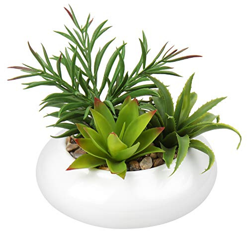 Briful Artificial Succulent Plants Fake Plants in Round Ceramic Pot, Faux Potted Plant Fake Succulents Arrangement, Artificial Plant Indoor for Office Desk Decor Decorative Home Accessories
