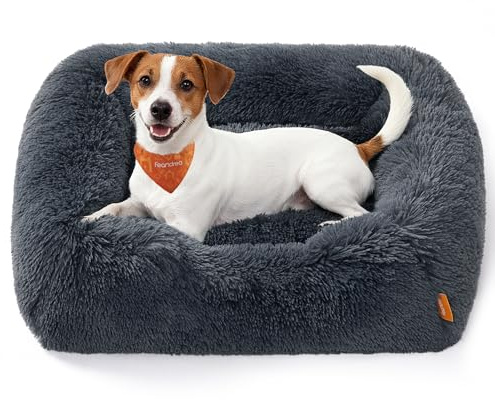 Feandrea Panier pour Chien, Taille Moyenne, Lit pour Animaux, 71 x 55 x 18 cm, Coussin, Canapé, Rembourrage Doux, Bords Surélevés, Housse Amovible et Lavable, Antidérapant, Gris Foncé PGW271GR01