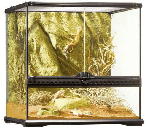 Exo Terra Terrario Pequeño Wide de 90 L, 45 x 45 x 45 cm