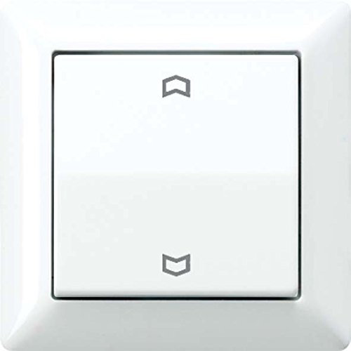 Jung AS590P Wippe für Taster BA 1-Fach