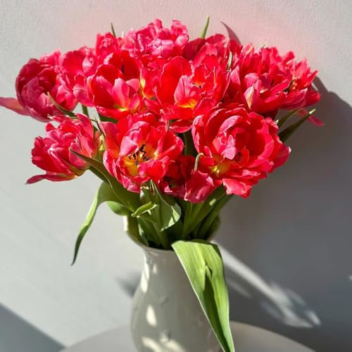 tulpenzwiebeln kaufen, blumenzwiebeln tulpen - blumenzwiebel pflanzer, frühlingsblumen tulpenzwiebel wildtulpen zwiebeln, blumenzwiebeln winterhart, garten blumen exotische pflanzen 15pcs