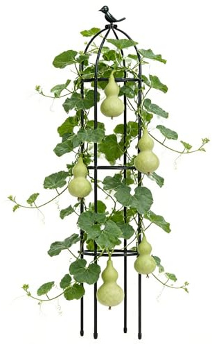 Paljé för krukväxter - dekorativ stödstruktur | klätterställning för växter | för tomater, gurkor, druvor, clematis, grönsaker, frukt, utomhus, inomhus, uteplats,