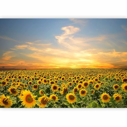 murando PREMIUM Carta da parati Paesaggio 400x280 cm Fotomurali in TNT Murale alla moda Decorazione da Muro XXL Poster Gigante Design Soggiorno Cameretta Carta per pareti Pre Natura b-B-0621-a-a
