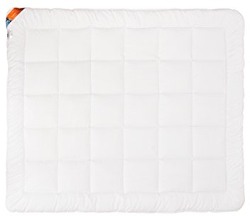 Warme Winterdecke Mikrofaser Bettdecke für Winter Steppbett Schlafdecke für Allergiker extra warm 135 x 200 155 x 200 180 x 200 220 x 200 bei 60 Grad waschbar Öko Tex Standard (220 x 200 cm)