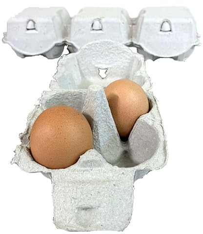 Lot de 51 boîtes à œufs de 4 œufs en carton, cartons à œufs, recyclables et biodégradables