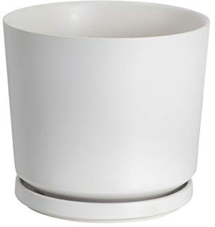 Ekirlin Plant Pot Indoor 14cm Ceramic Flower Pots White Planter with Drainage Hole and Saucer