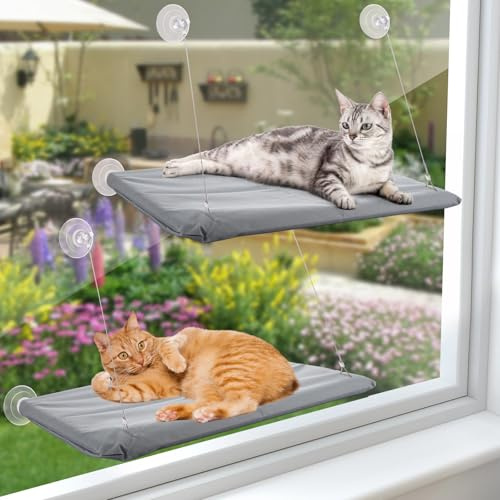 AKOLAFE 2 Pack Cat Window Hammock Bed 55x35cm Cat Window Bed Dark Grey Wall Hammock Perch for Indoor Cats, Large Cats Beds for Windows and Wall