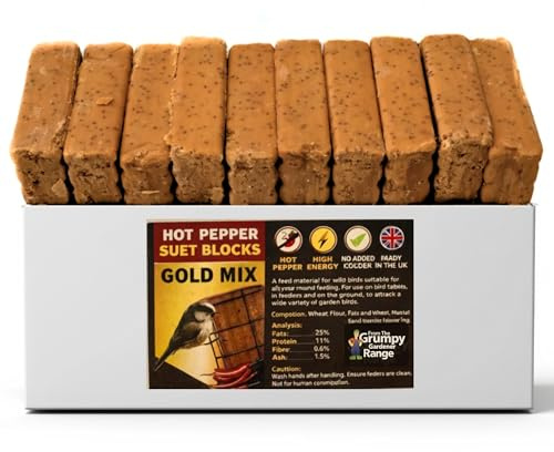Grumpy Gardener Peanut Butter Bird Suet Cakes – Squirrel Proof, 10 Pack WildBbird Food, Mess-Free, No Melt Suet Blocks for Nutpecker, Hot Pepper Flavour, 2.8 Kg
