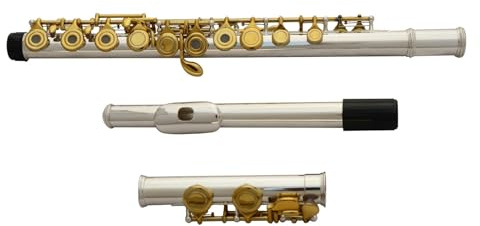 tvärflöjt instrument Professionell C-nyckelflöjt öppet och stängt hål 16-håls flöjt