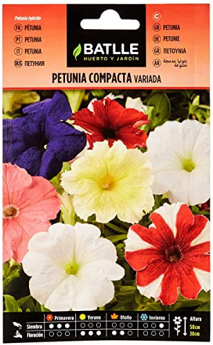 Semillas Batlle - Petunia Compacta VARIADA, Multicolore