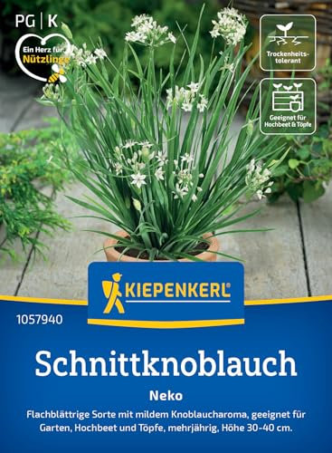 Kiepenkerl Schnittknoblauchsamen Neko 1057940 – Mildes Knoblaucharoma, ideal für Beete & Töpfe – Kräutersamen, Schnittlauchpflanze, Samen Kräuter