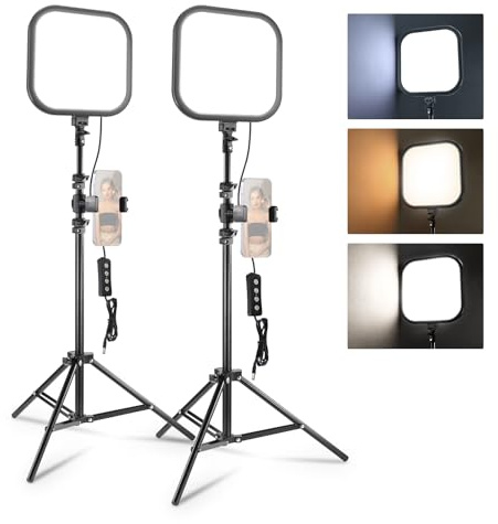 NEEWER Pack de 2 Panneau Lumineux LED Vidéo 15W 27,4cm(10.8) avec Trépieds et Supports de Téléphone de 160cm, Éclairage de Studio Bicolore à Intensité Variable 816 lux CRI95+ pour Photographie, L220