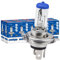 XENOHYPE 10x H4 Classic Halogen Auto Lampe 12V 60/55 Watt P43t
