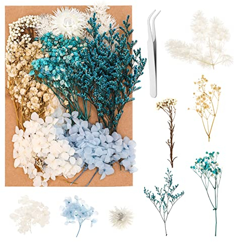 Heyu-Lotus Natürliche Getrocknete Blumen, DIY Natürliche Blumen Set für Trockenblumen Kunst DIY Scrapbooking Handwerk Karten Machen Heimdekoration Hochzeit