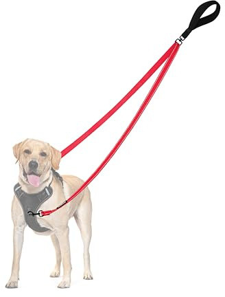 PetBonus Laisse Anti-Traction pour Chien, Double Laisse Anti-Traction réfléchissant, pour l'entraînement et la Marche, pour Chiens de Grande Taille et Moyenne (Rouge)