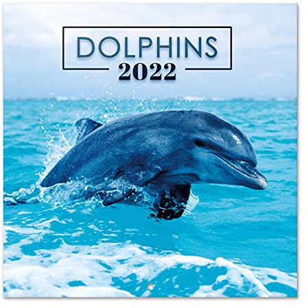 Grupo Erik: Officiella delfiner 2022 30 x 30 cm fyrkantig väggkalender 2022, familj, delfiner djurkalender