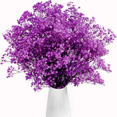 Gipizi Gypsophila Torkade Blommor Rosa, 43cm Naturliga Gypsophila Dried 3000+ Knopp, Torkade Blommor för Bröllop, Fest, Krans Blommig Manuell, Heminredning (Lila)