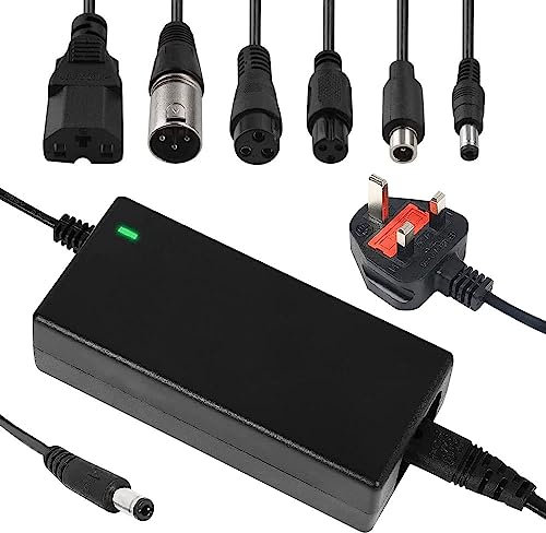 LUFEIS Electric Scooter Charger, 42V 2A Battery Charger for Li-ion Battery, Universal Mobility Scooter Battery Charger with 6 Plugs, Electric Bike Charger for M365, Electric Bike, Hoverboard