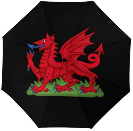 Welsh Dragon Flag 3 Fold Umbrella Portable For UV Rain Windproof Folding Umbrellas Funny Umbrella Manual