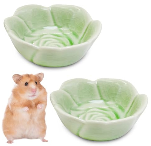 BNOSDM 2 Pcs Hamster Ceramic Food Bowl Flower Series Gerbil Drinking Bowls Anti-Turning Food & Water Dish for Dwarf Syrian Hamsters Gerbil Chinchilla（Green, Rose Pattern）