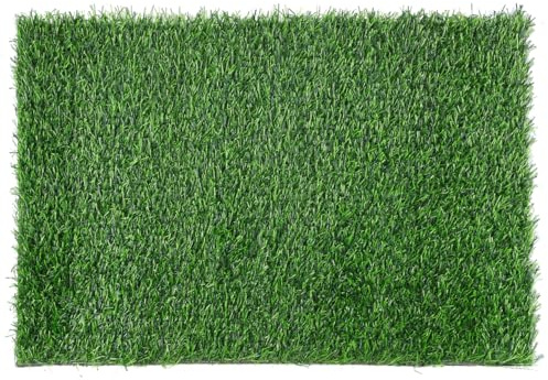 BESPORTBLE Felpudo de hierba para exteriores, césped artificial verde, fácil de limpiar, 40 x 60 cm, alfombra de césped artificial para la puerta delantera, no requiere cuidado diario