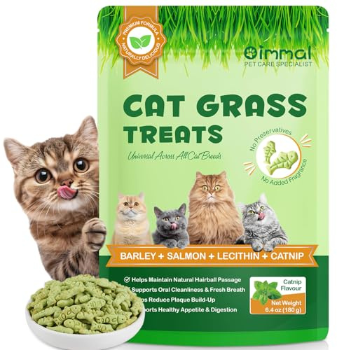 Snacks de hierba para gatos para interior, 180 g de galletas crujientes, para limpiar los dientes, evitar bolas de pelo y para una digestión saludable con salmón natural
