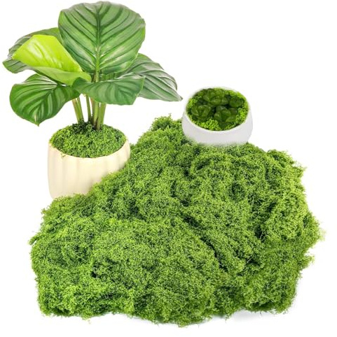200g Fake Moss, Artificial Moss For Indoor Plant Pots, Fake Light Green Lichen Plants for Landscaping Home Garden Arts and Crafts Decoration