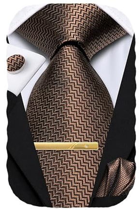 Hi-Tie Men's Silk Ties Brown Striped Jacquard Necktie Pocket Square Cufflinks Clip Set for Wedding Tuxedo