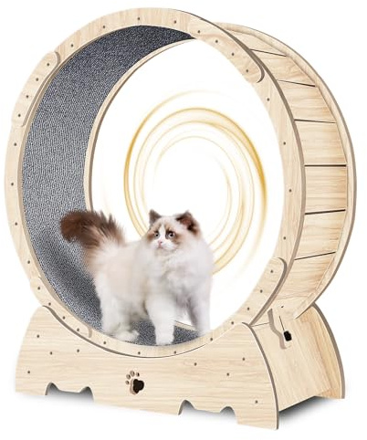 Opetdo - Rueda de ejercicio para gatos (93 cm, gran rueda de carreras, para gatos interiores, con cinta de correr extraíble, teaser para gatos, para correr, caminar, entrenamiento, apto para la