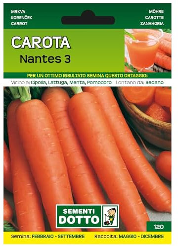 Sicignano | Semi Carota Nantes 3. Busta Extra - 1 Confezione da 5g, Radice Cilindrica Medio Lunga Rosso Arancio