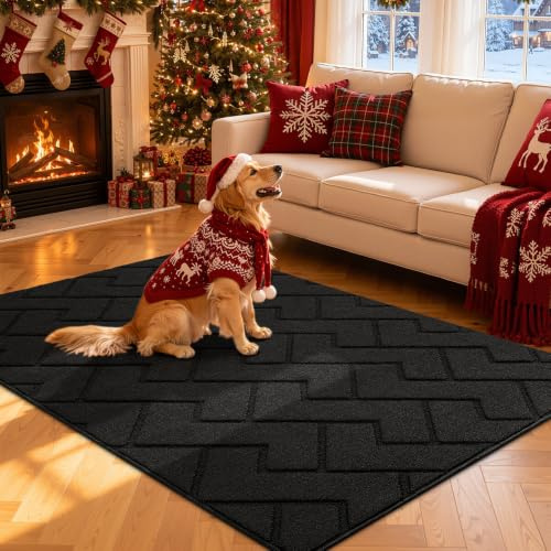 Biscpro Door Mat,119x180cm DoorMat Indoor Washable,Doormat Indoor Dirt Trapper Non-slip,Absorbent Inside Entrance Rug Mat for Entryway,Patio,Garden,Laundry Room,Pets-Black