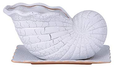 Maceta de cerámica extra grande creativa para interiores Bonsái rectangular Contenedor en maceta Forma de concha para el hogar Maceta de cerámica Más carne con bandeja Maceta Jardín decorativo para