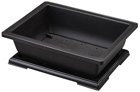 BlissfulAbode Vaso da fiori rettangolare in plastica per bonsai, vivaio, balcone, giardino, contenitore