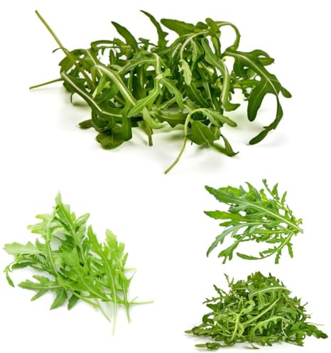 rúcula comprar semillas, silvestres jardín rocas resistentes verdes raras balcón invernadero jardín cocina 300pcs