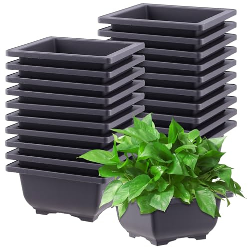 CHUENKUK 20 Stück Bonsai Schale Quadratisch, 12 x 12 x 6 cm Bonsaischale Kunststoff Klein, Bonsai Topf Blumentopf Pflanzschale für Garten Innen- und Außenbereich