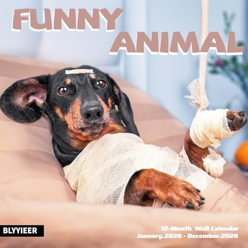 2026 Wall Calendar Funny Animal, 14 Months Hangable Wall Calendars, 12 x 24 (Open), Thick Glossy Paper, Organizing & Planning