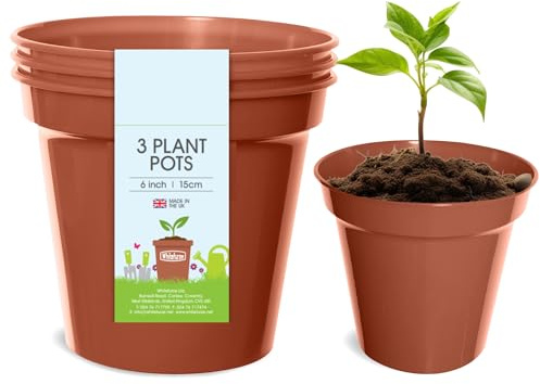 Whitefurze - Basic Plant Pots - Indoor Plant Pots - Flower Pots for Small Plants, Cuttings & Seedlings - Durable Polypropylene Plant Pots for Indoor & Outdoor Use, 15cm Diameter - Set of 3