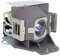 GreenBale Projektor Ersatzlampe Für ACER MC.JKY11.001 H1P1403 H1P1406 H7550BD H7550BDz H7550ST H7550STz Beamer Lampe Beamerlampe
