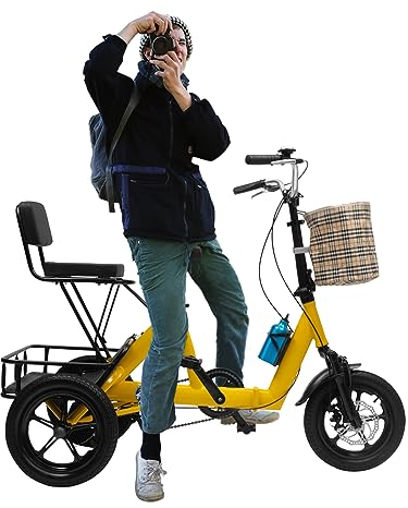 Donened 14 Zoll Dreirad, 3 Räder Fahrrad mit Einkaufskorb und Rückenlehne Lastenfahrrad Faltbares 3 Rad Fahrrad für Erwachsene & Kinder