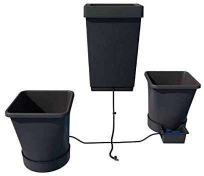 Autopot