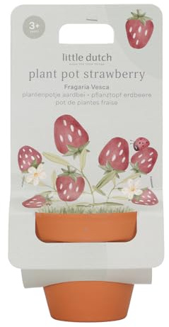 Little Dutch 9131 Vaso di fiori con semi - Fragola