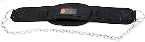 Sveltus