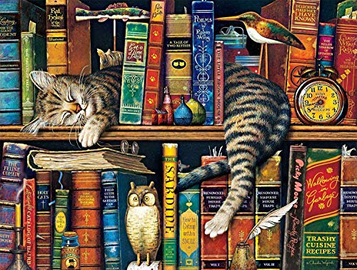 Puzzle 1000 pièces-Bookshelf Cat-Adultes Adolescents Enfants Puzzle Grand Puzzle Jouets Cadeau éducatif intellectuel décompression Amusant Jeu de Famille