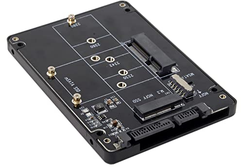 Xiwai Combo M.2 NGFF B-Key & mSATA SSD a SATA 3.0 Adattatore Case Enclosure con Switch