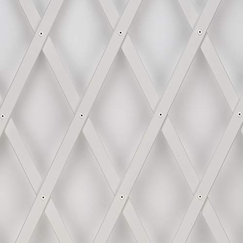 Tenax Treplas 1,00x3 m, Bianco, Traliccio Estensibile in PVC per Sostegno a Muro di Fiori e Piante Rampicanti