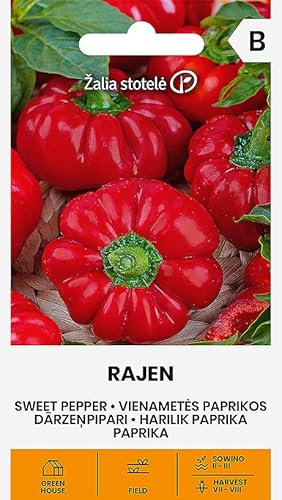 Zalia stotele | POIVRON - RAJEN H Graines | Graines de Légumes | Poivron Graines | Graines de Plantes | Graines de Jardin | 1 Paquet