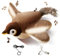 Wuiil Katzenspielzeug Vogel Elektrisch,Vogelspielzeug Für Katzen,Flying Bird Cat Toy,Fliegender Vogel Spielzeug Für Katzen,Aufladbar Interaktives Katzenspielzeug,Flapping Bird Cat Toy,Mit Katzenminze
